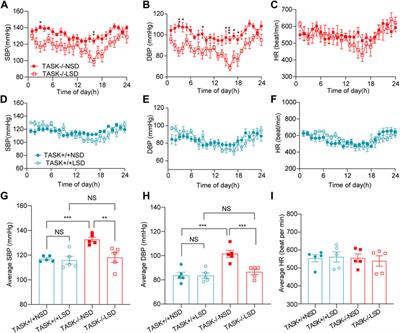 Low sodium intake ameliorates hypertension and left ventricular hypertrophy in mice with primary aldosteronism